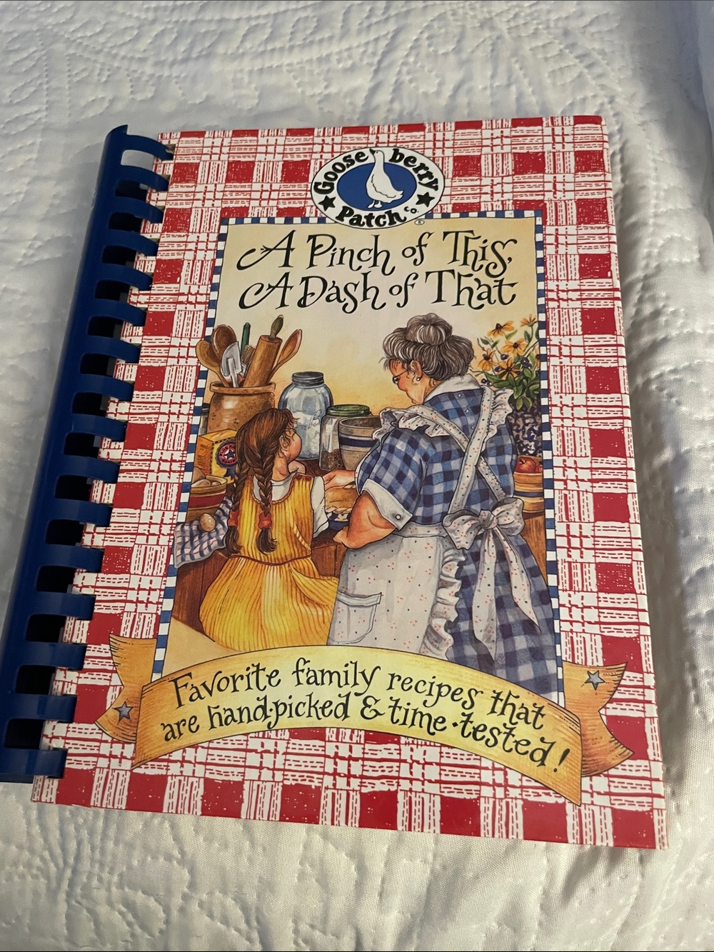 Gooseberry Patch A PINCH OF THIS A DADH OF THAT Favorite Family Recipe Book